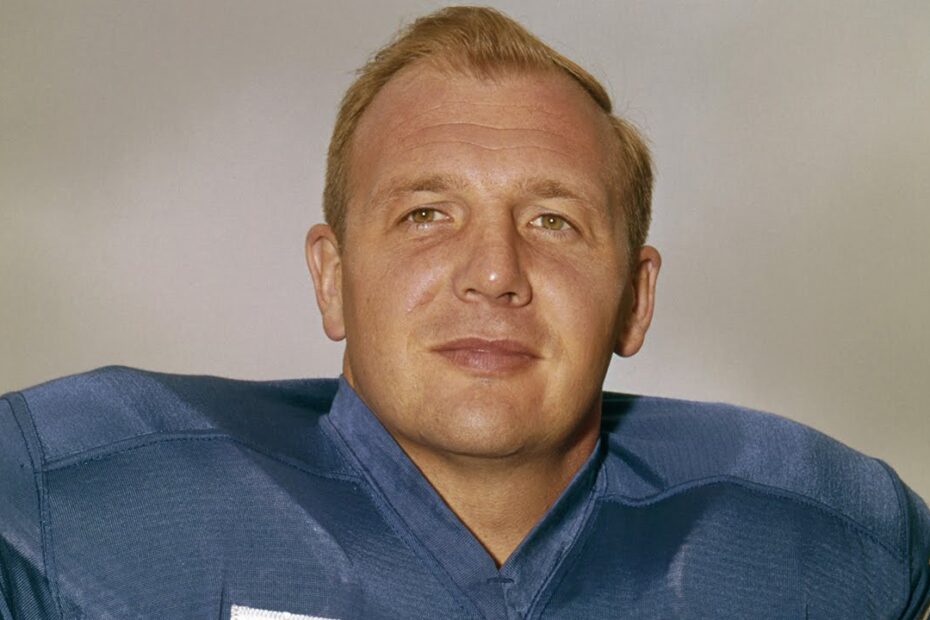 Joe Schmidt