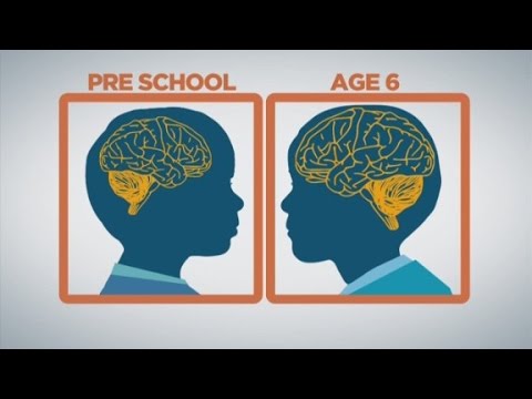 Baby Brain