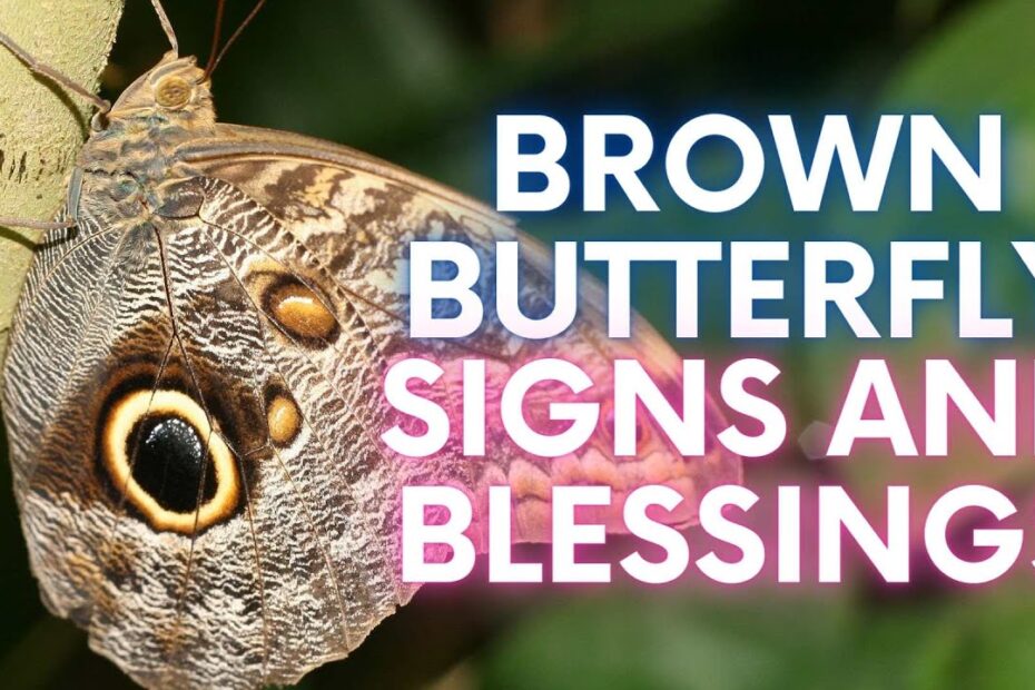 Brown butterfly meaning