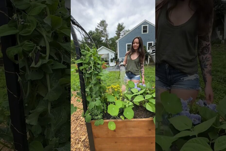 Cheap gardening supplies