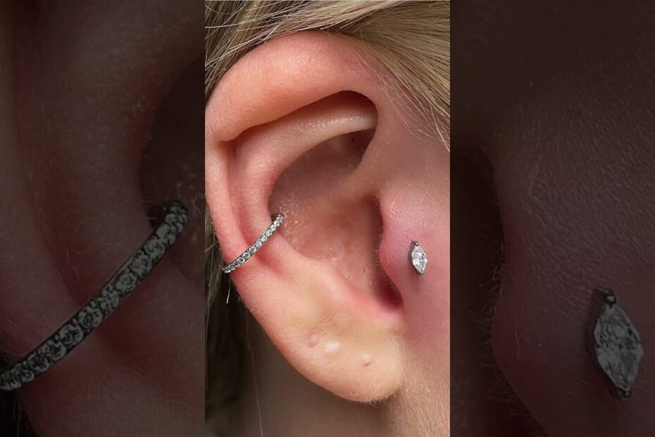 Conch hoop earring
