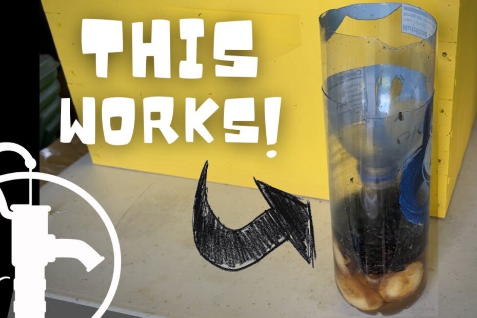 Diy fly trap