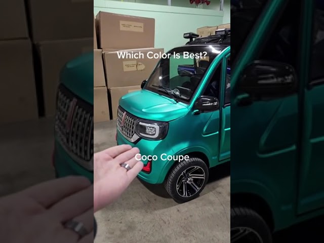 Eco friendly electric vehicle