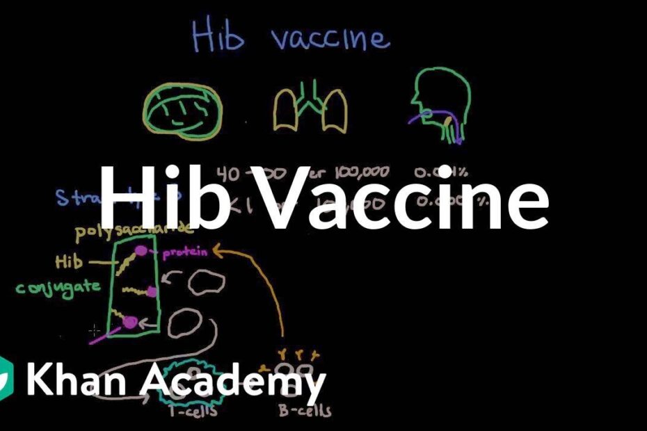 Hib vaccine