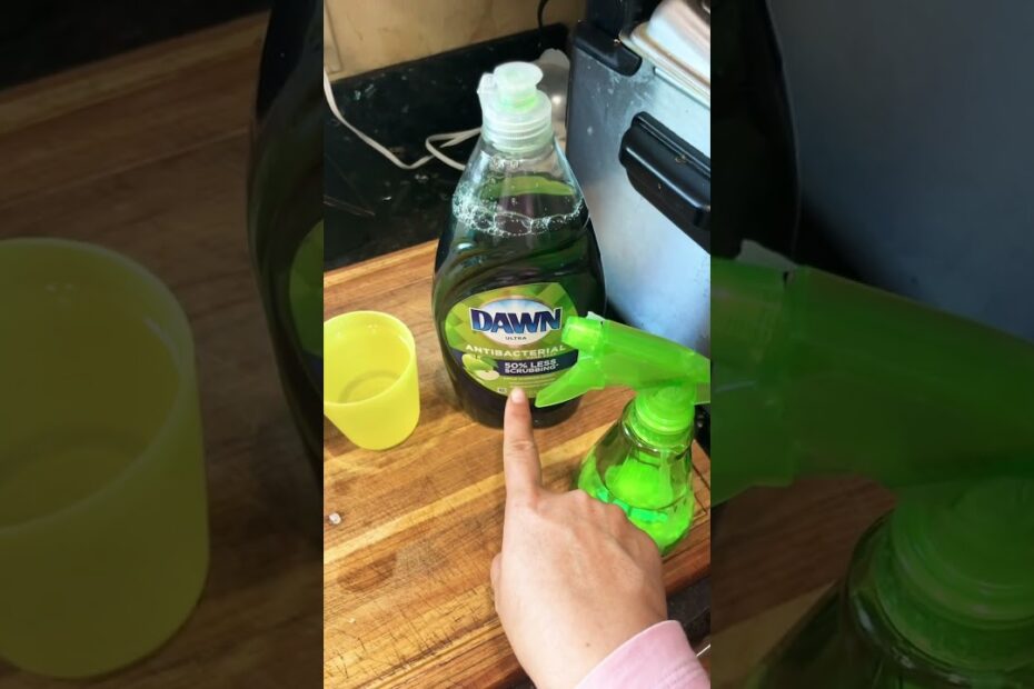 How to get rid of gnats in the house quickly