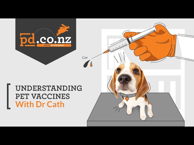 Kennel cough vaccine nz