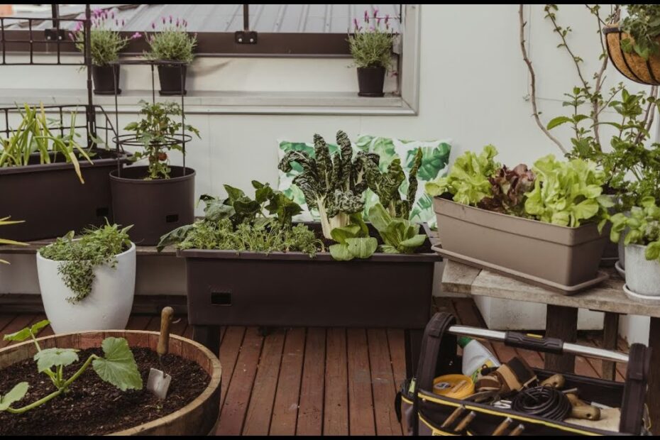 Mitre 10 Plant Pots