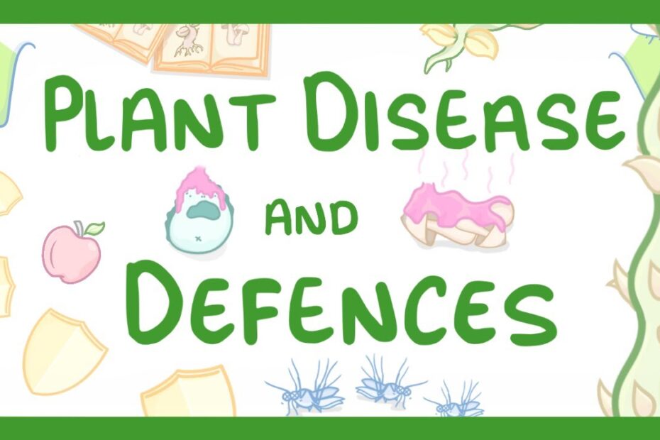 Nitrate deficiency in plants