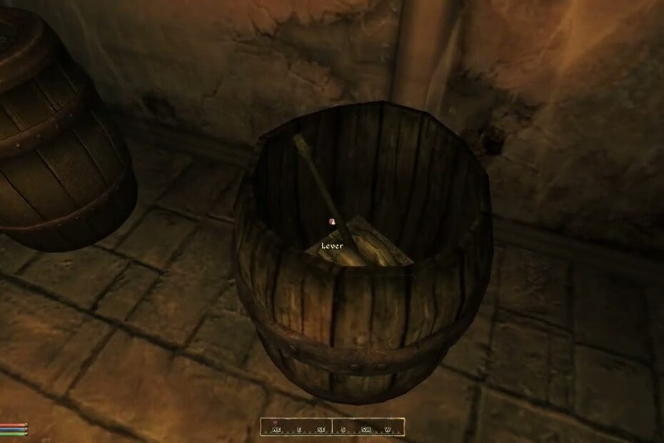 Oblivion leyawiin secret room