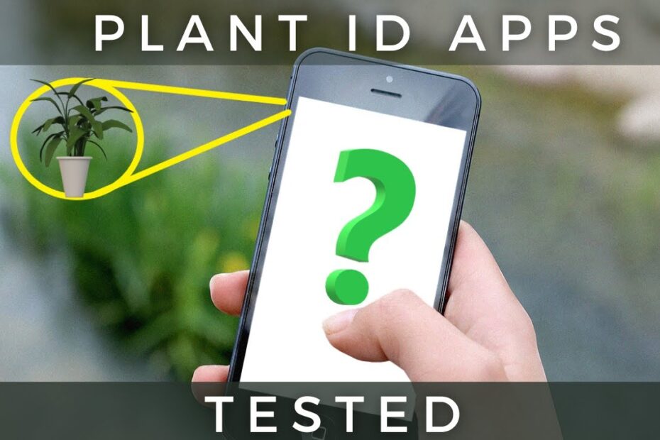 Plant identification app