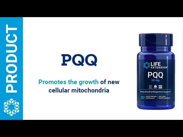 Pqq supplement