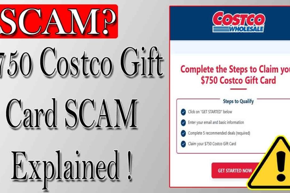 Review Voucher Costco