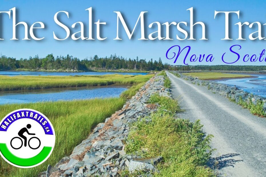 Salt marsh trail