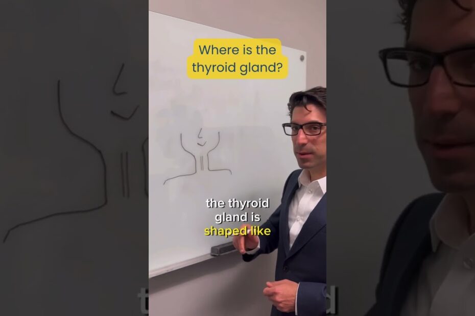Where Is The Thyroid Located