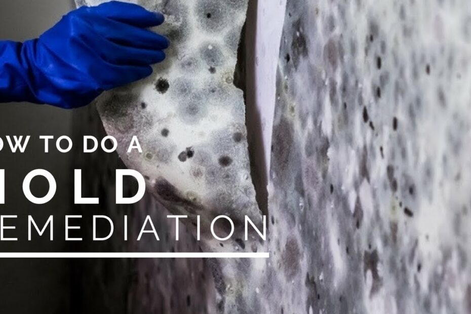 do it yourself mold removal