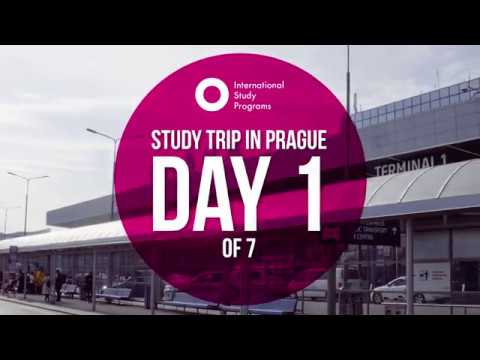 international study programs