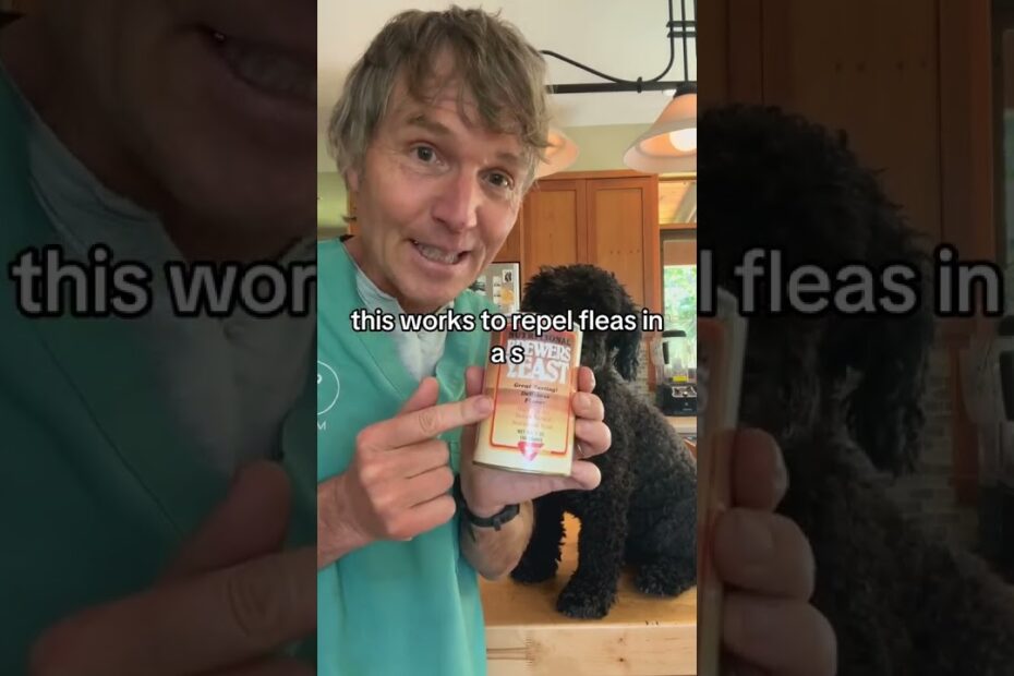 How to Get Rid of Fleas on Dogs Once and for All – Fast Killers for 2025 Country 10 how to get rid of fleas once and for all - what kills fleas on dogs fast 2025 {country}