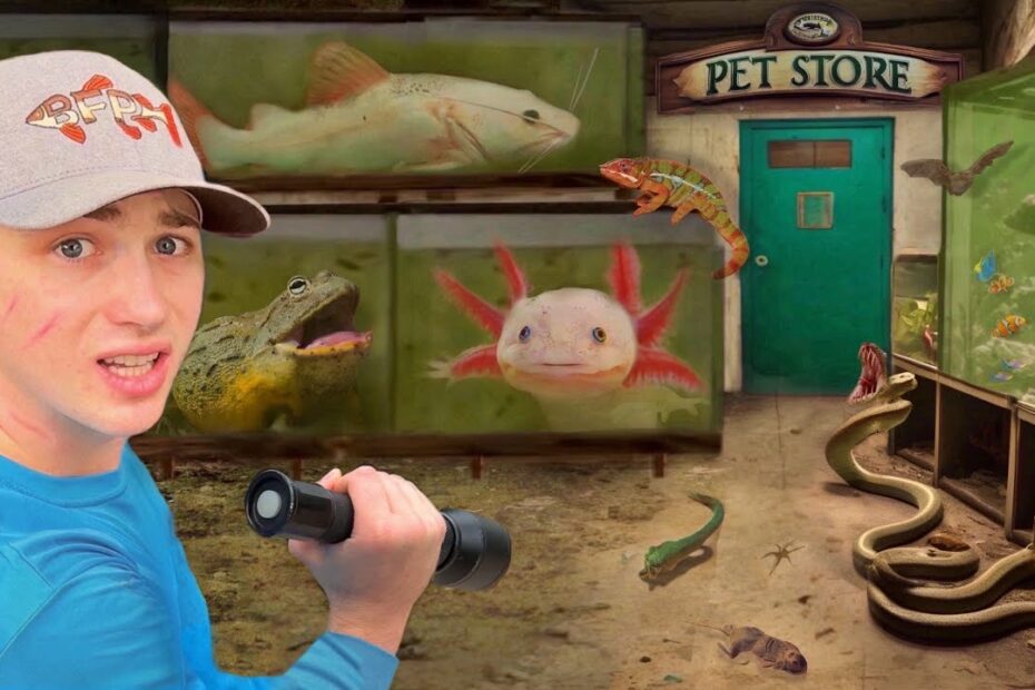 independent pet stores near me