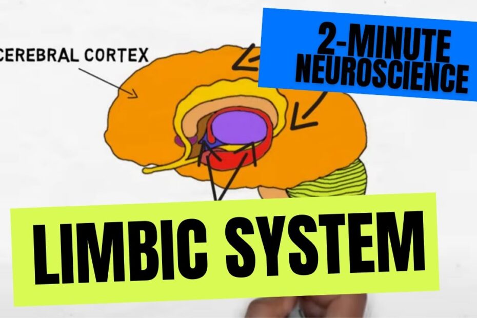 neuroscience