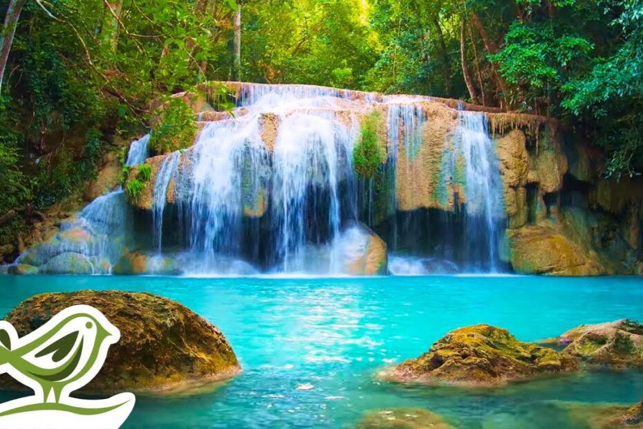 relaxation and wellness