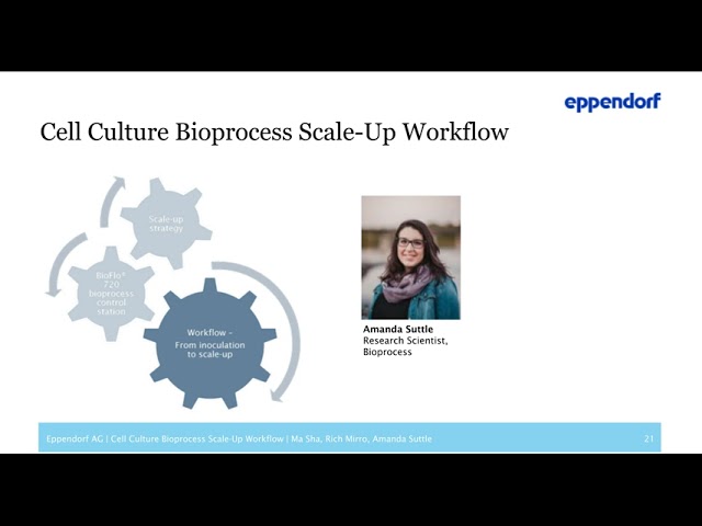 scale up analysis for a cho cell culture process in large scale bioreactors