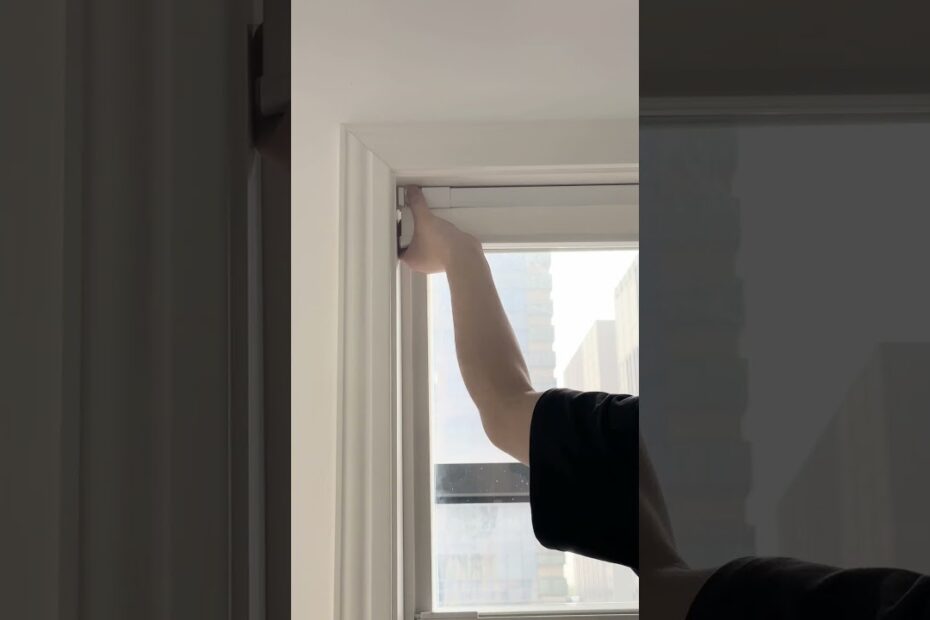 shades window blinds