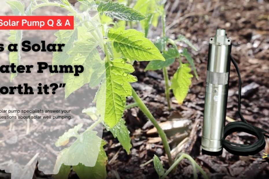 Best Solar Water Pump Systems for Efficient and Sustainable Watering 6 solar water pump system