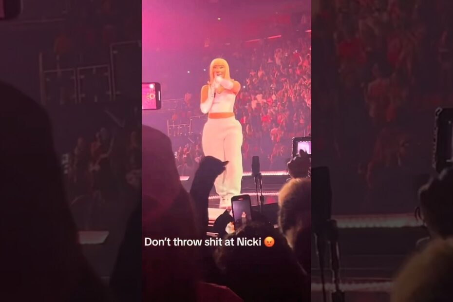 Nicki Minaj son autistic: the facts behind the public health speculation